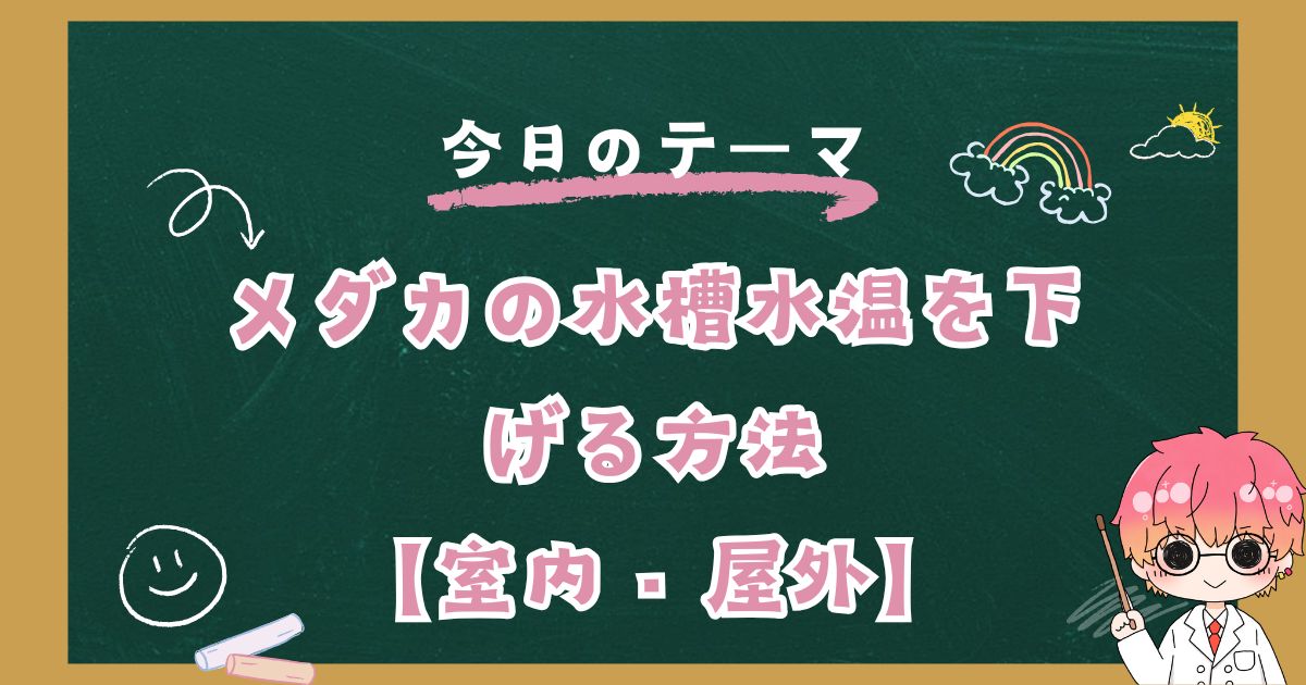 メダカの水槽水温を下げる方法【室内・屋外】