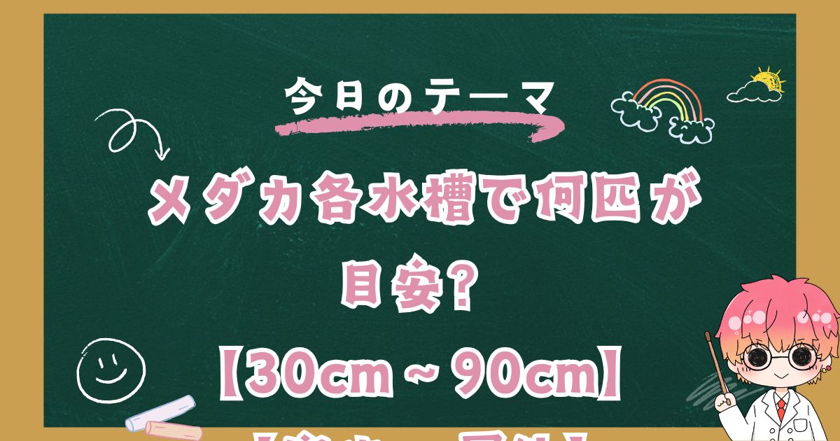 メダカ各水槽で何匹が目安？【30cm～90cm】