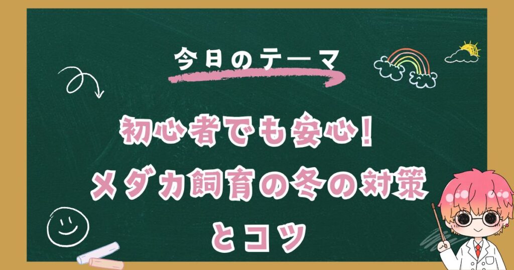 初心者でも安心！メダカ飼育の冬対策とコツ
